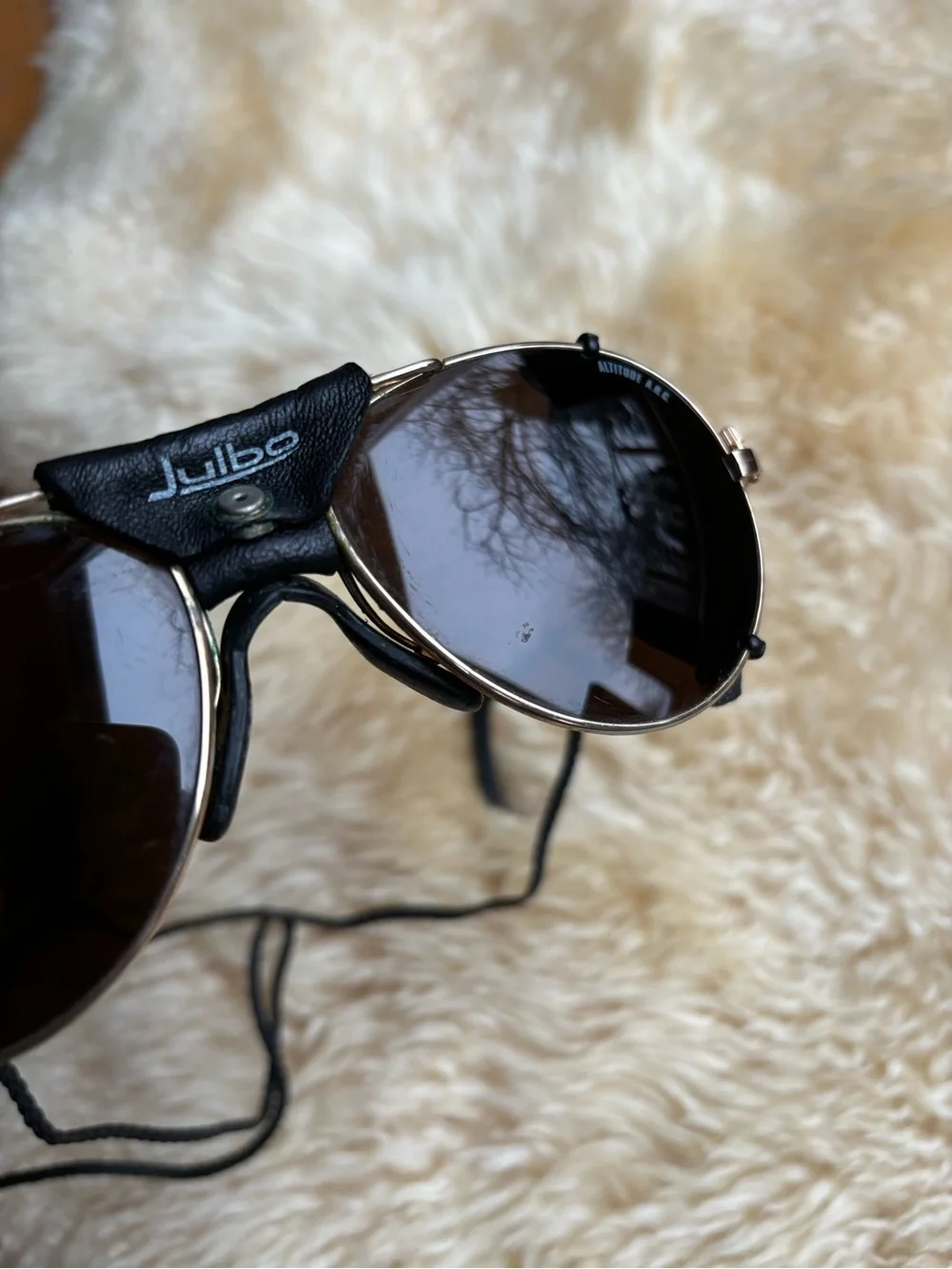 Vintage Julbo Mountaineering/Glacier Glasses